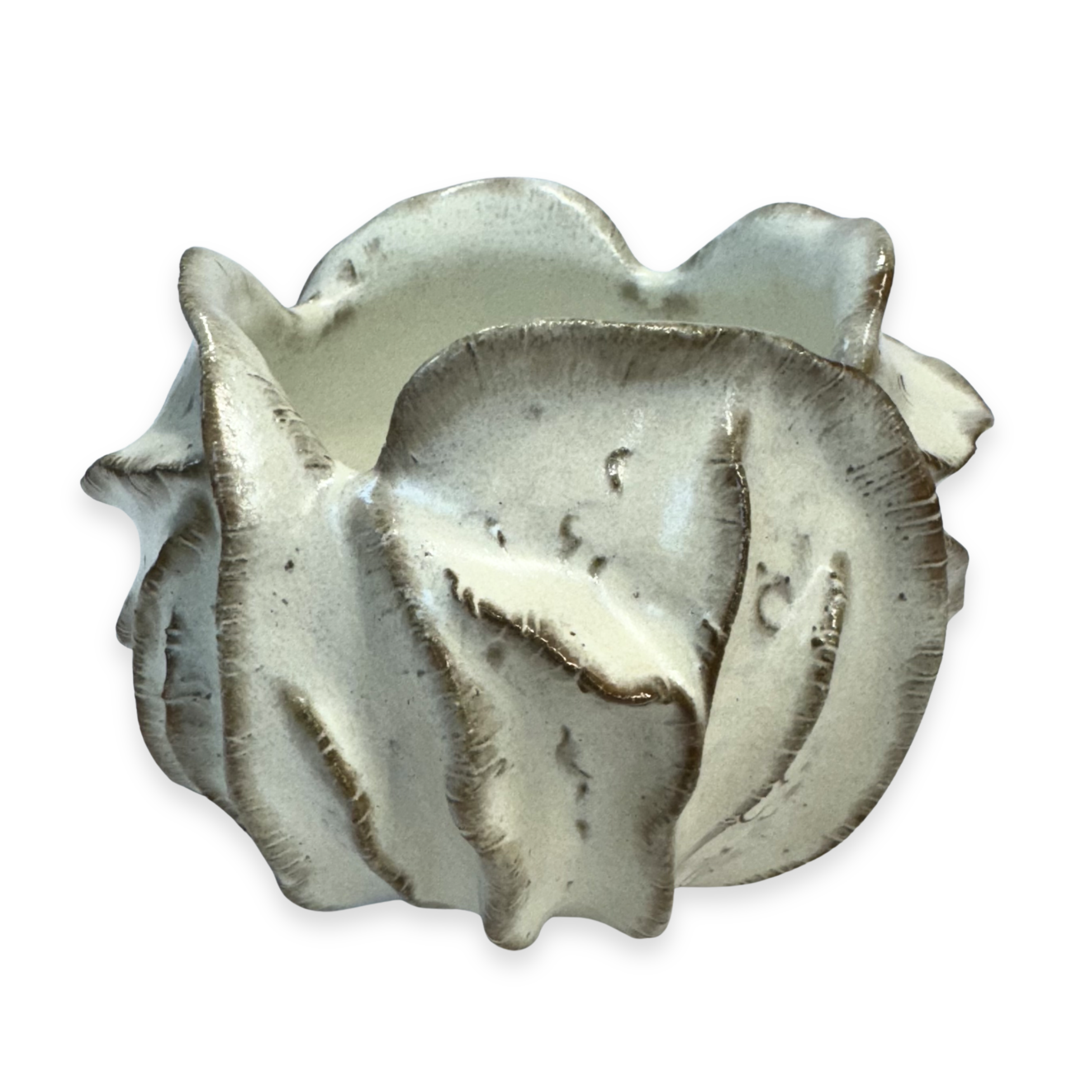 Coral Vase | 26-0169