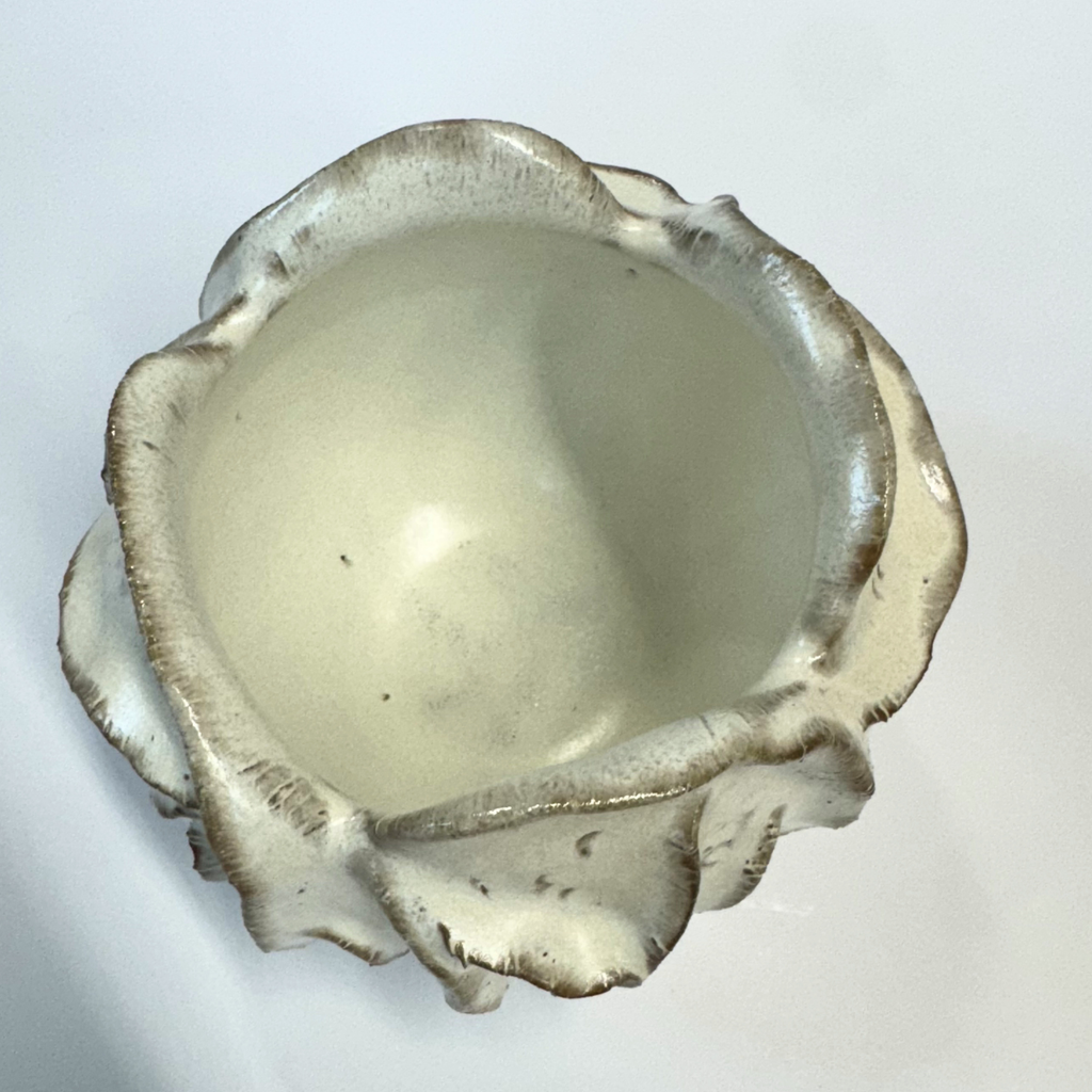 Coral Vase | 26-0169