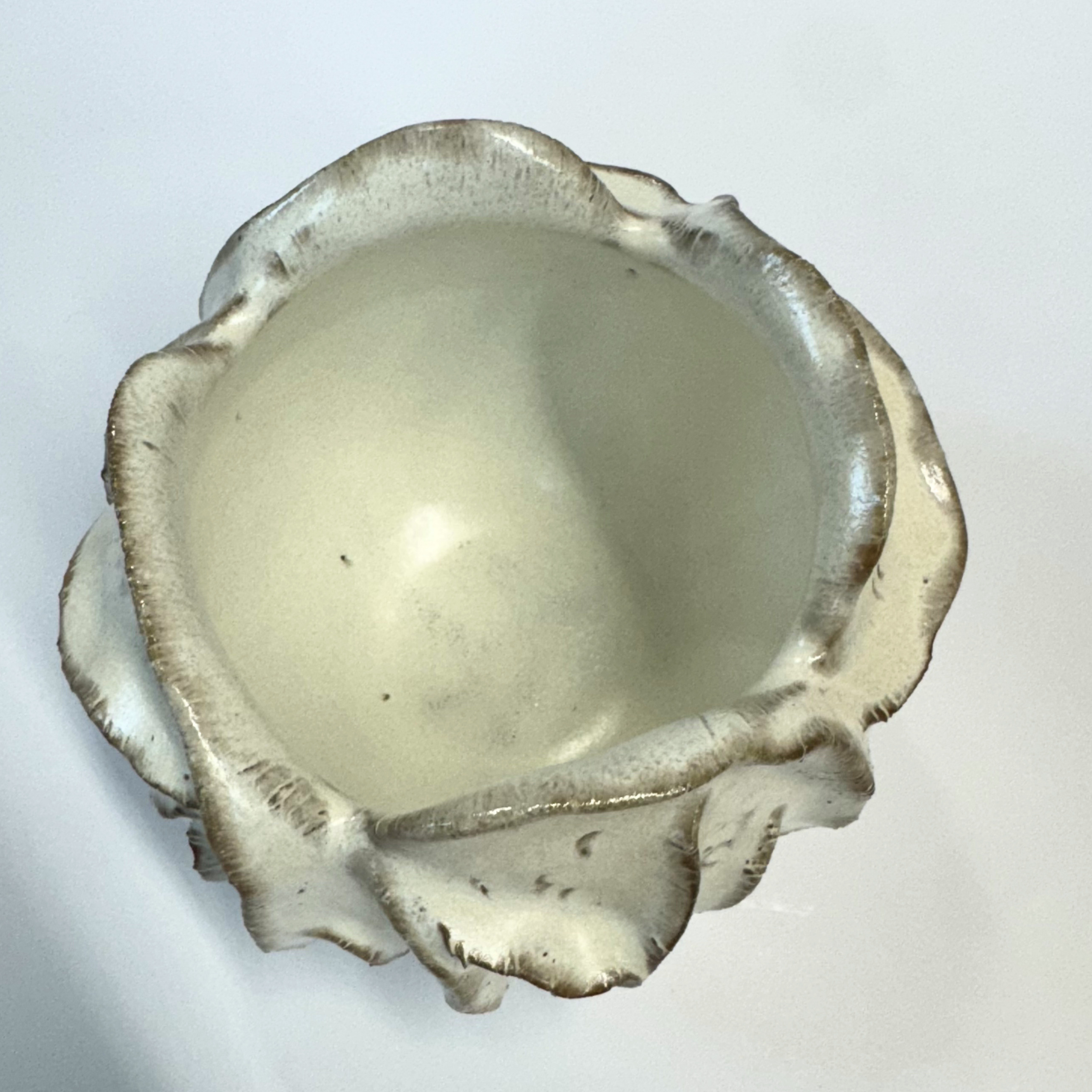 Coral Vase | 26-0169