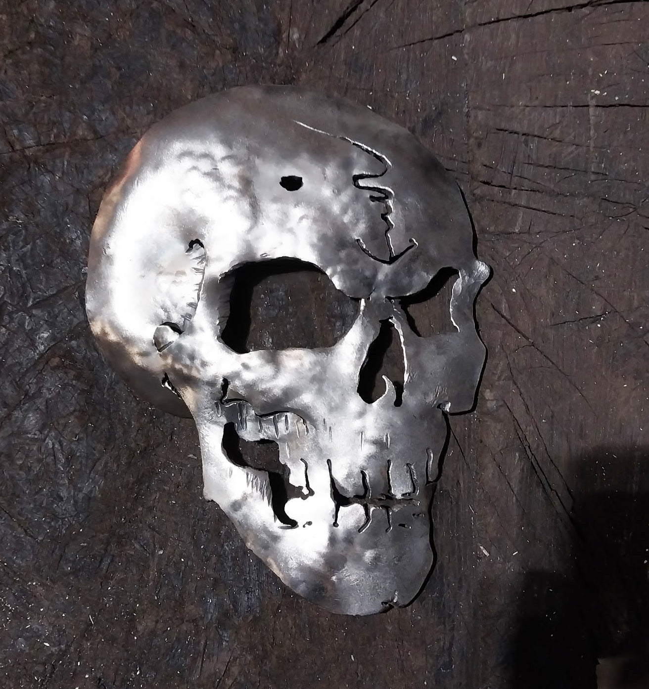 25-0419 Skull