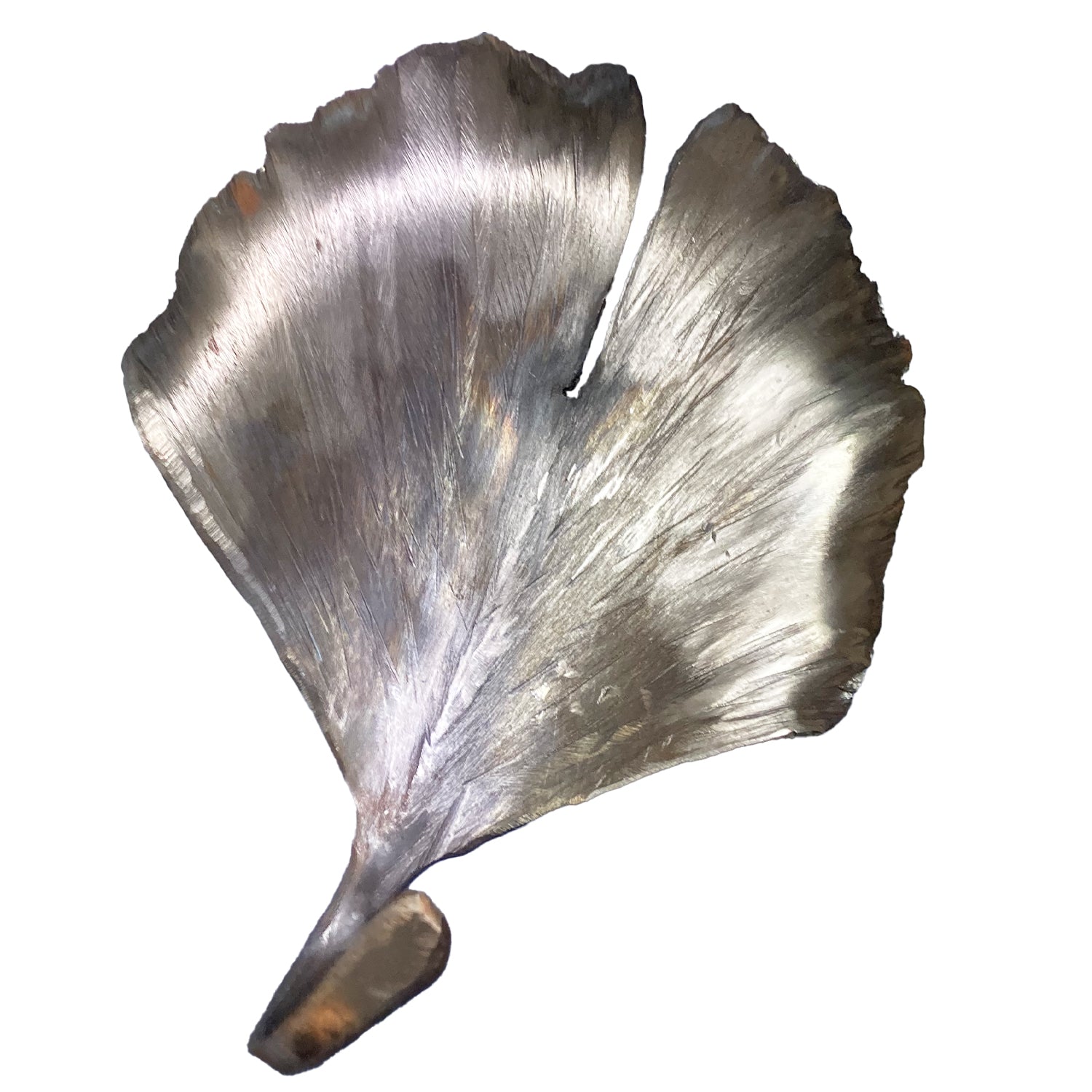 25-0423 Ginko Leaf
