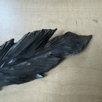 26-0173 Steel Feather