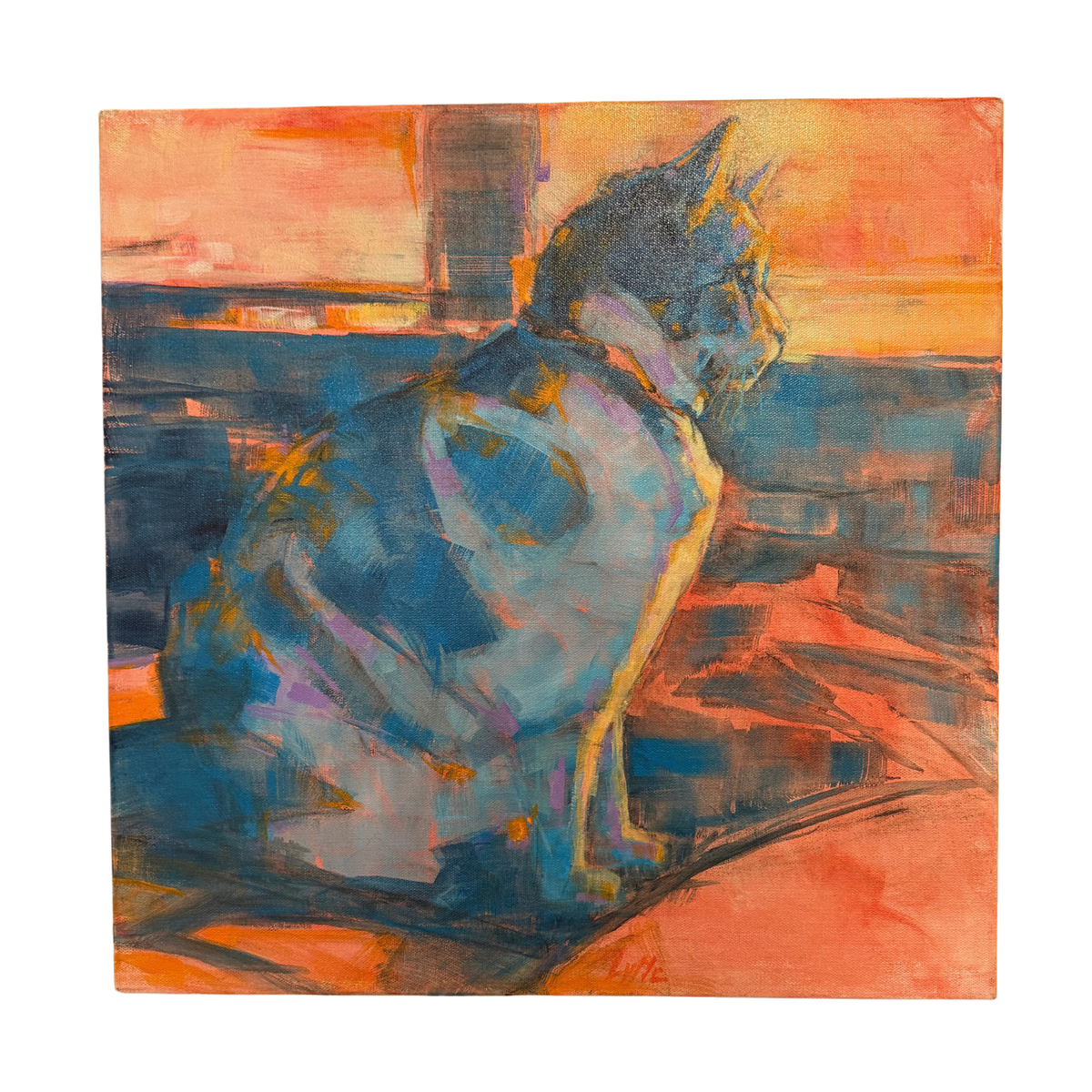 Cool Cat, Hot Summer by Sally Priscilla Lytle