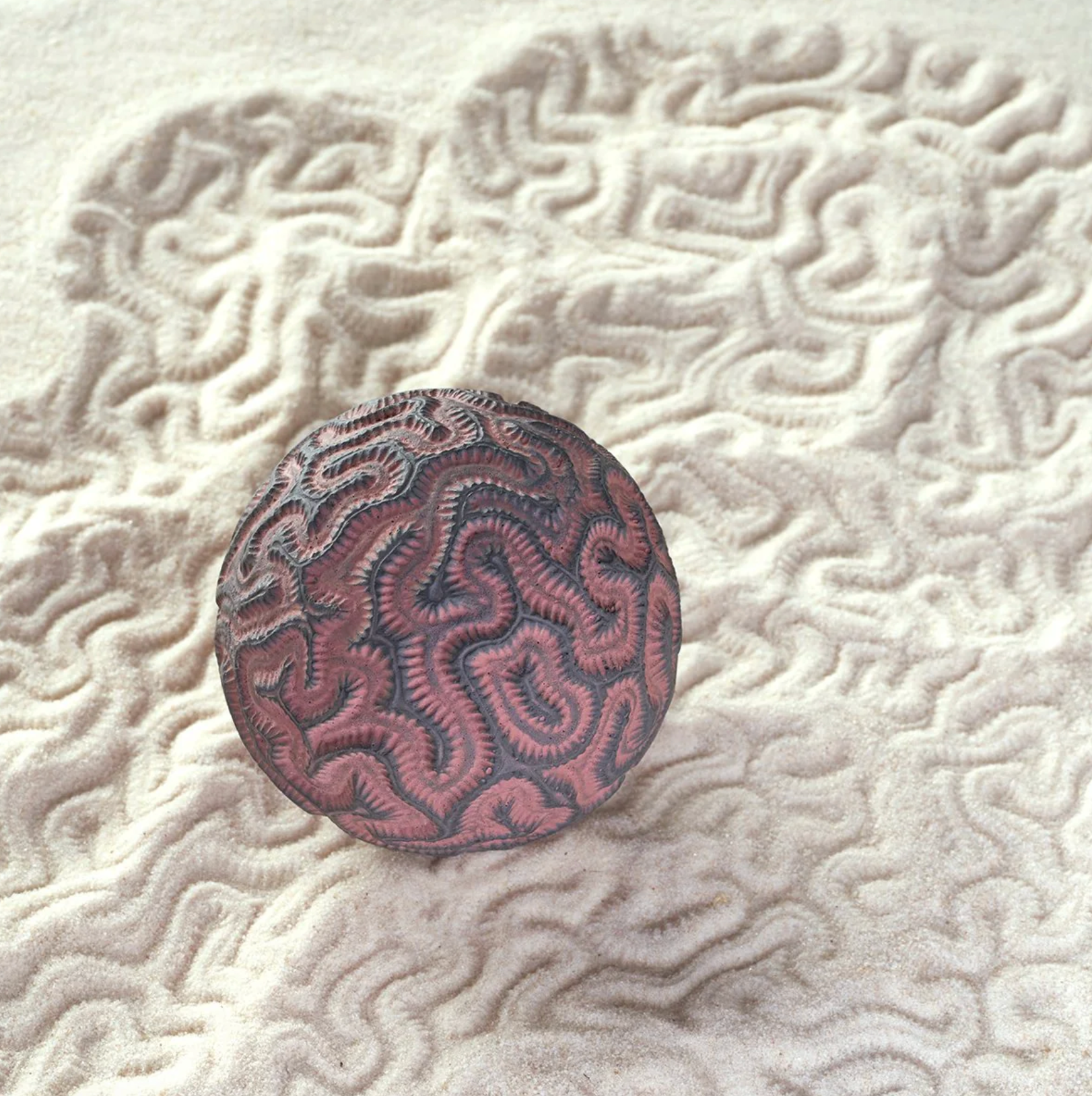 26-0057 Meditation Sphere - Brain Coral