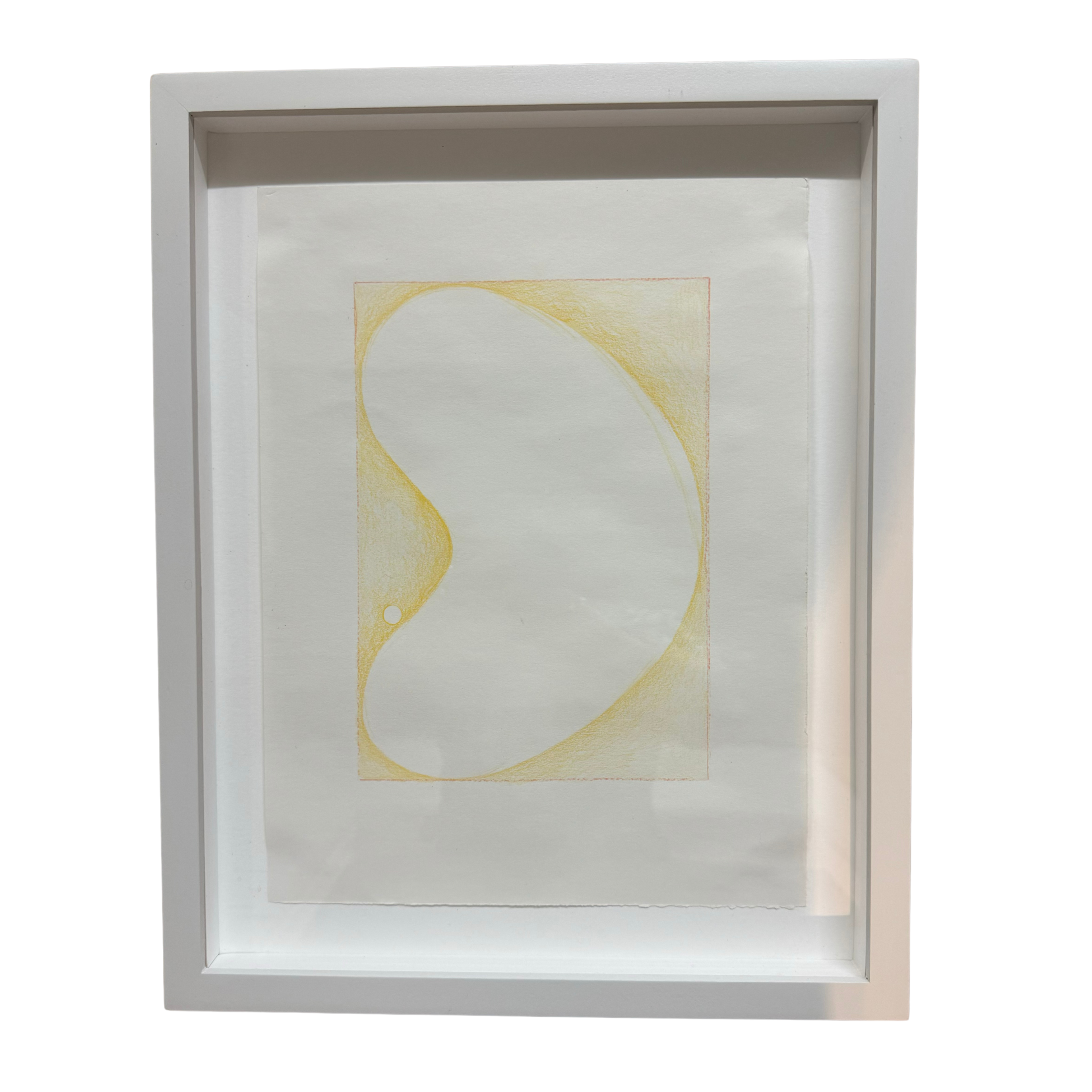 Study for Marigold by Emily Bartolone