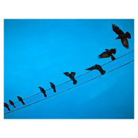 We're Finally Landing by Kit Palencar