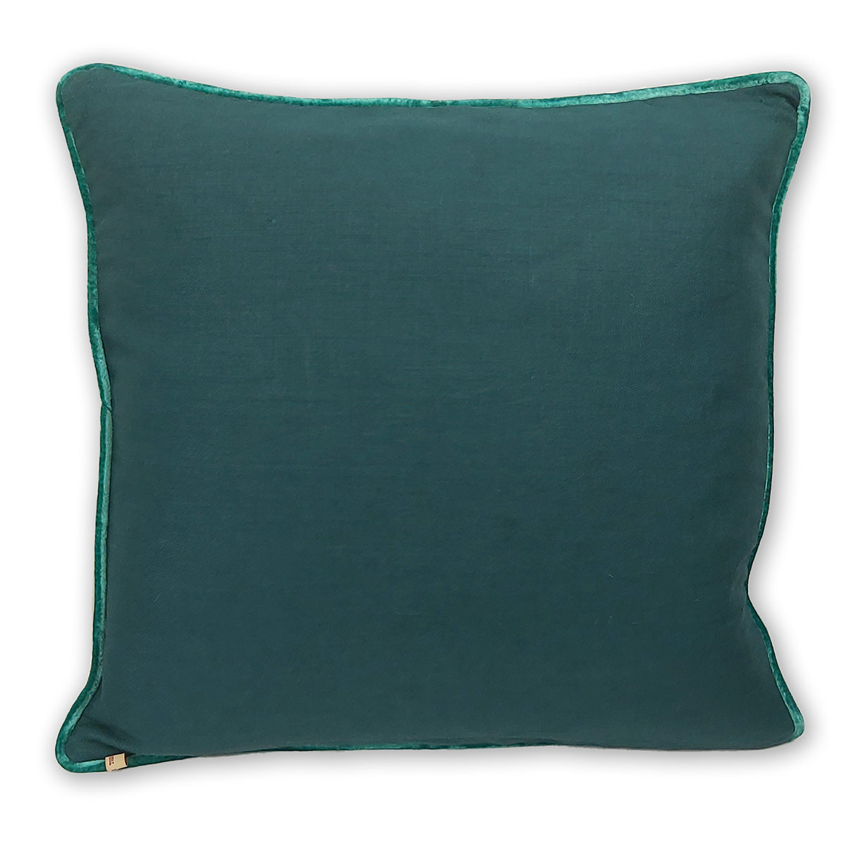 1-098 Beetle Square Decorative Pillow