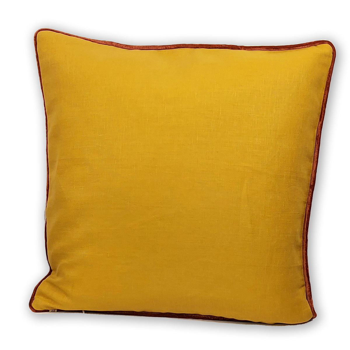 1-099 Moth Square Decorative Pillow