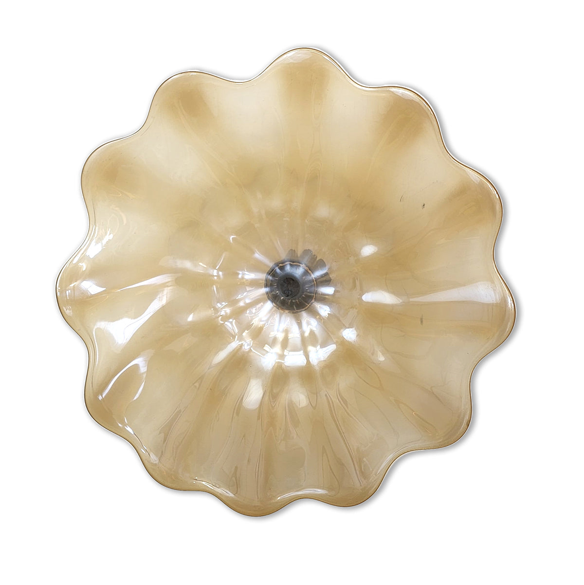 Doug Frates Wall Mounted Platters DF2203 Amber Dreams