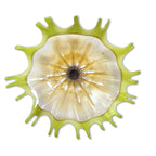 Doug Frates Wall Mounted Platters DF2204 Gimlet