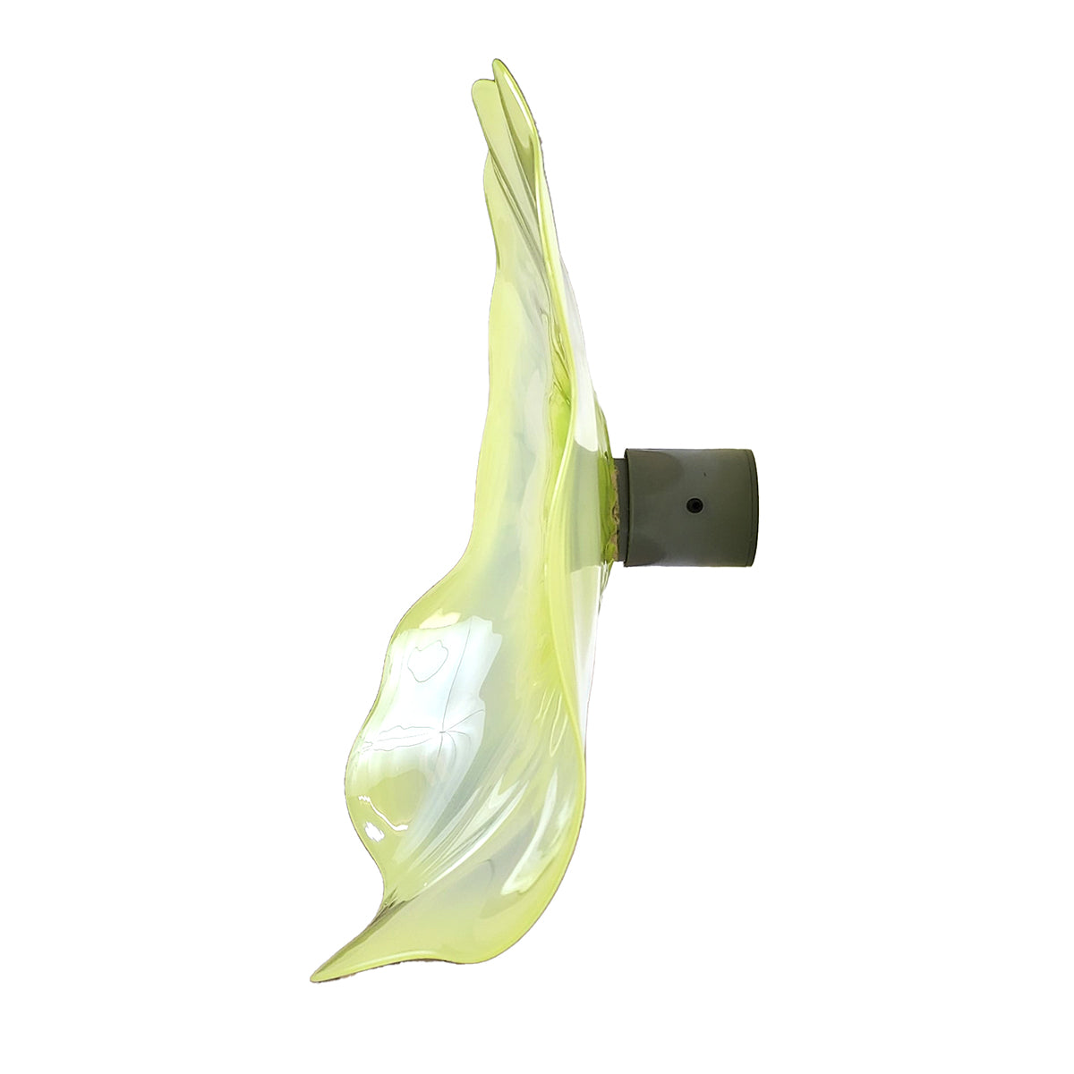 Doug Frates Wall Mounted Platters DF2209 Lemondrop