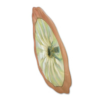 Doug Frates Wall Mounted Platters DF2219 Coral