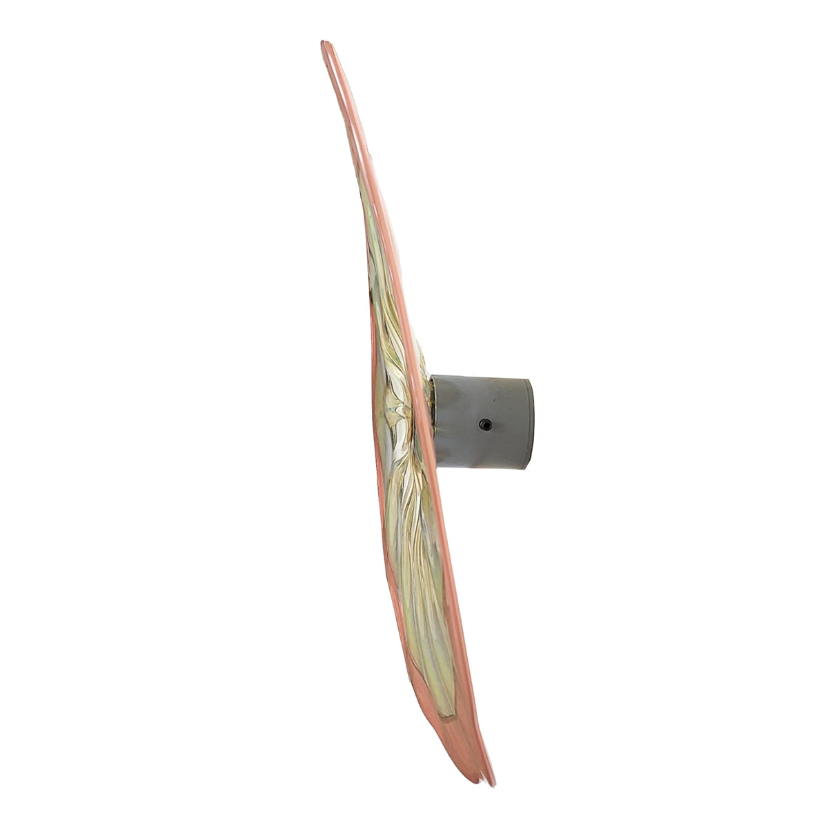Doug Frates Wall Mounted Platters DF2219 Coral